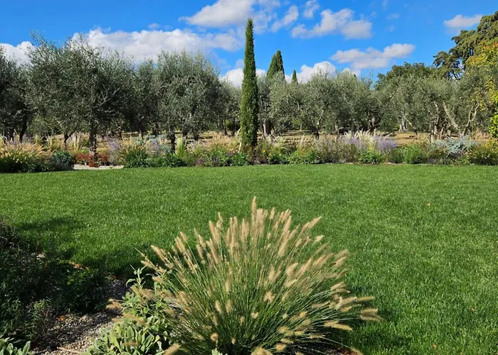 Деревянный коттедж Oliveto