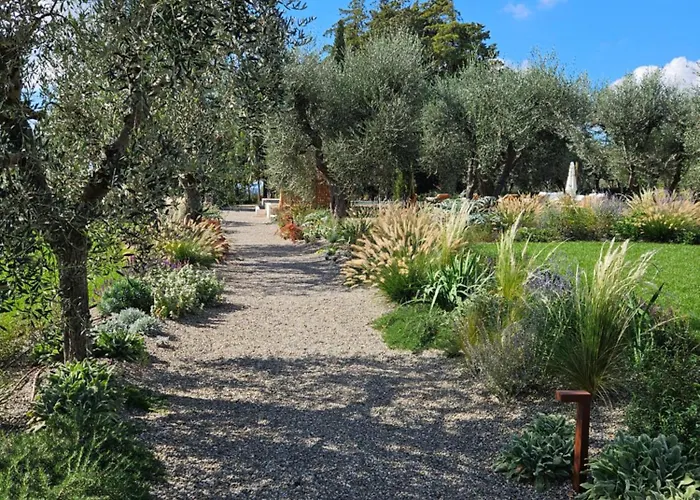 Oliveto